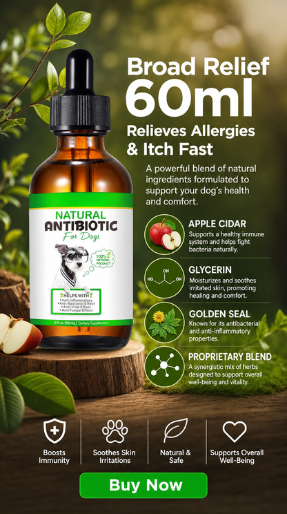 Tailuxe Daily Wellness Drops for Dogs (60ml) | Herbal Immune & Skin Support Supplement | Bacon Flavour