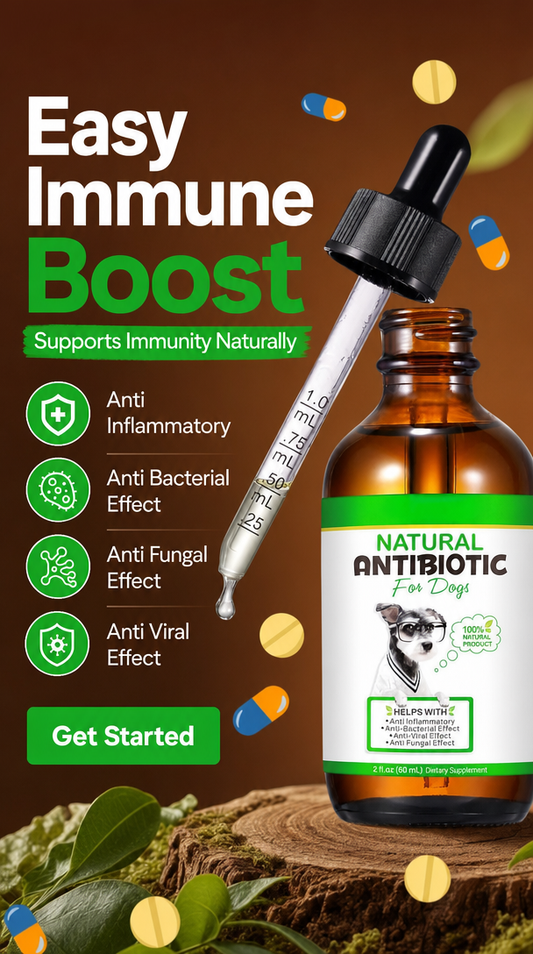 Tailuxe Daily Wellness Drops for Dogs (60ml) | Herbal Immune & Skin Support Supplement | Bacon Flavour