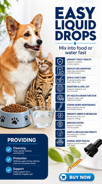 Tailuxe Multivitamin - Easy Liquid Drops dropper application